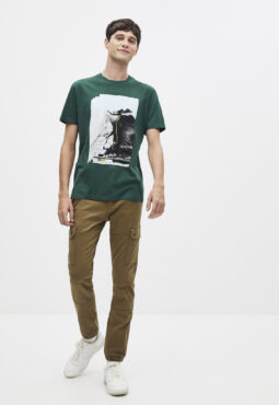 SEGREEN_BLEUCANARD_2