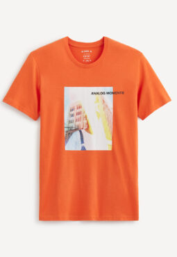 חולצת טי הדפס, צווארון עגול, 100% כותנה