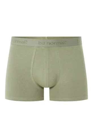 בוקסר כותנה חלקה ונמתחת - ירוק בוקסר כותנה חלקה ונמתחת - ירוק