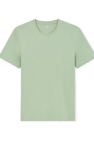 SHORT SLEEVES TSHIRT בצבע GREEN BAY