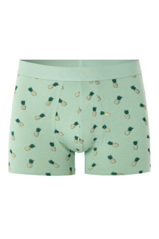 BOXERS בצבע GREEN LIGHT