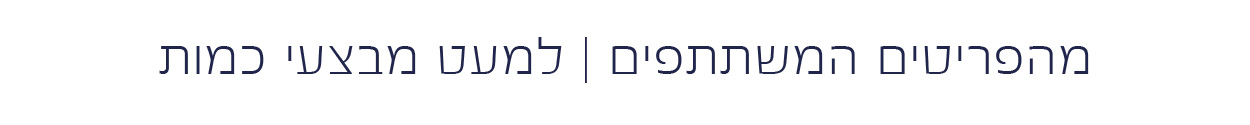 Please fill alt attribute